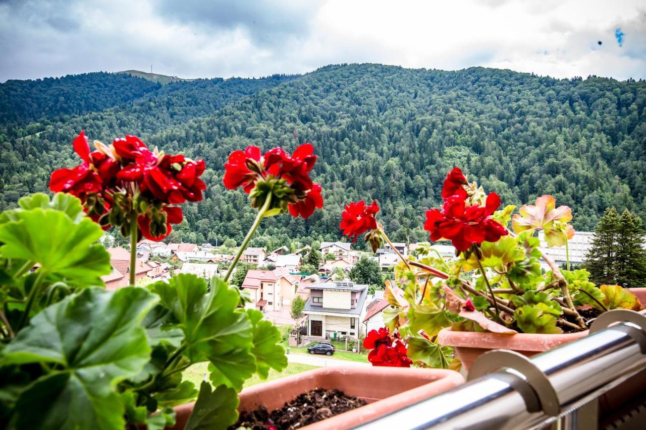 Hotel Carpat Inn Азуга Екстериор снимка