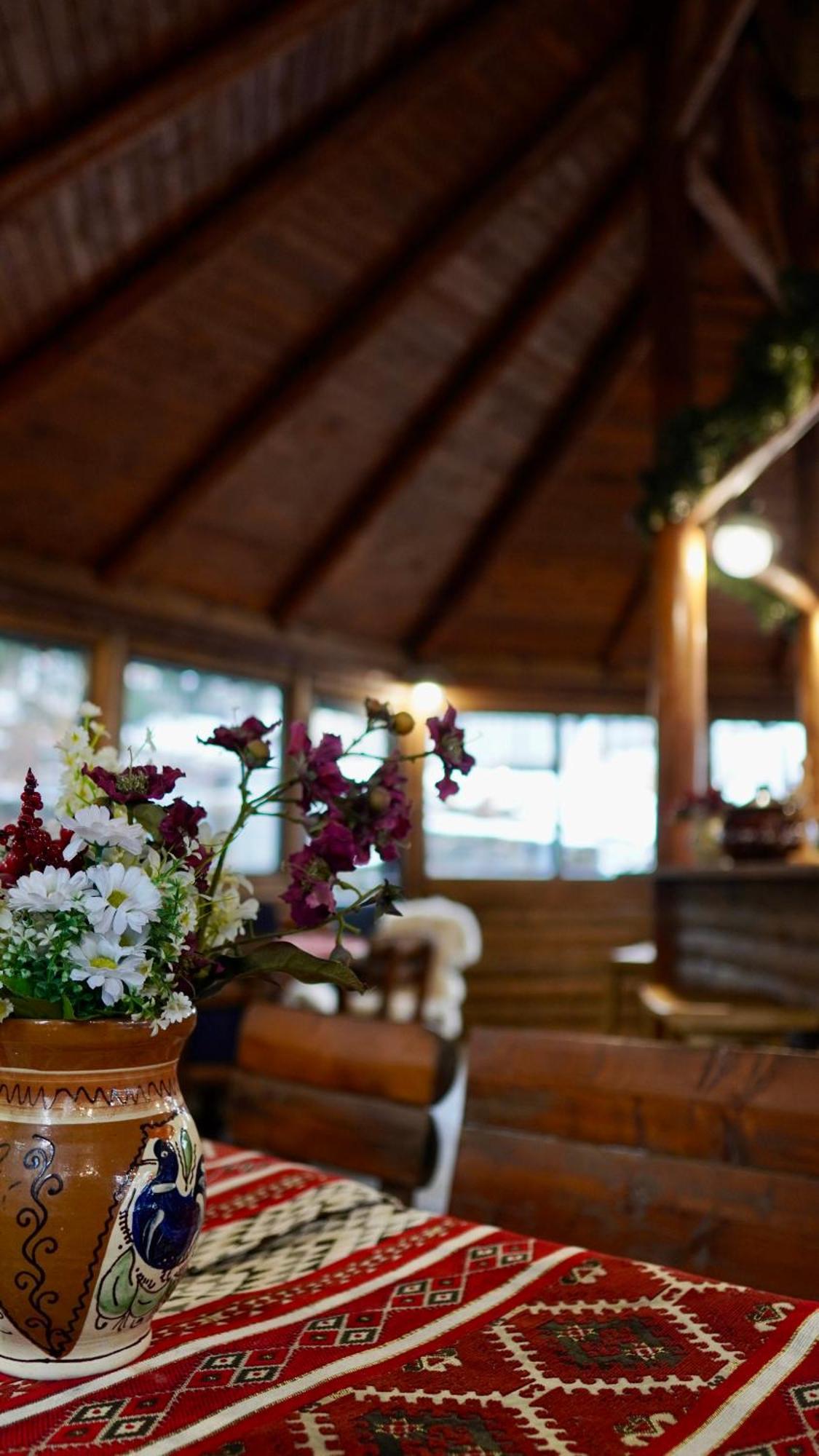 Hotel Carpat Inn Азуга Екстериор снимка